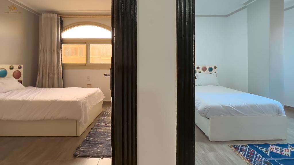 Pyramids View, Apartment 开罗 外观 照片
